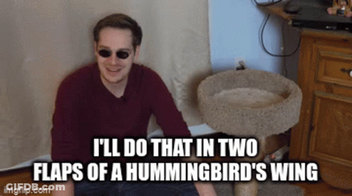 A Man Wearing Sunglasses Sits In Front Of A Cat Bed With The Caption I 'Ll Do That GIF