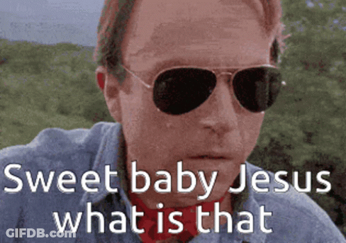 A Man Wearing Sunglasses With The Words Sweet Baby Jesus What Is That Written Below Him GIF