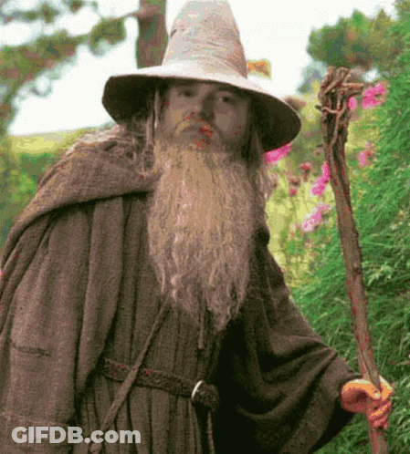 A Man With A Beard And A Hat Is Holding A Stick GIF