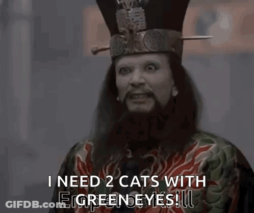 A Man With A Beard And A Hat Is Saying I Need 2 Cats With Green Eyes . GIF