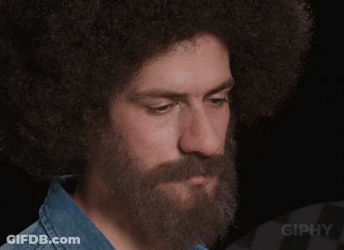 A Man With A Beard And An Afro Looks At The Camera With The Word Giphy Below Him GIF