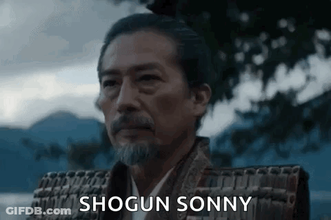 A Man With A Beard And Armor Is Standing In Front Of A Body Of Water And A Tree . GIF