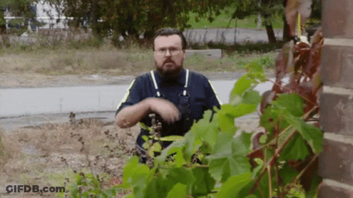 A Man With A Beard And Glasses Is Standing In Front Of A Plant . GIF