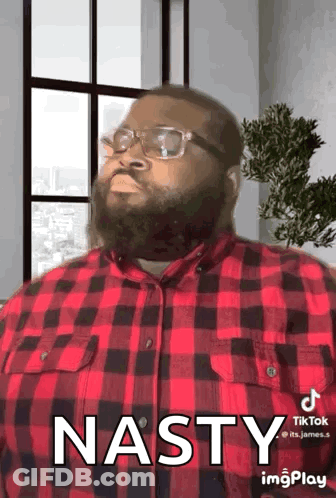 A Man With A Beard And Glasses Is Wearing A Red Plaid Shirt And Saying Nasty . GIF