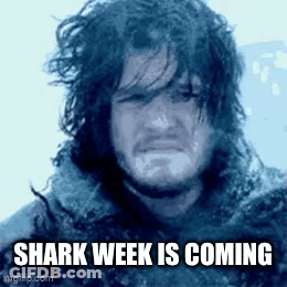A Man With A Beard And Long Hair Is Crying In The Snow . GIF