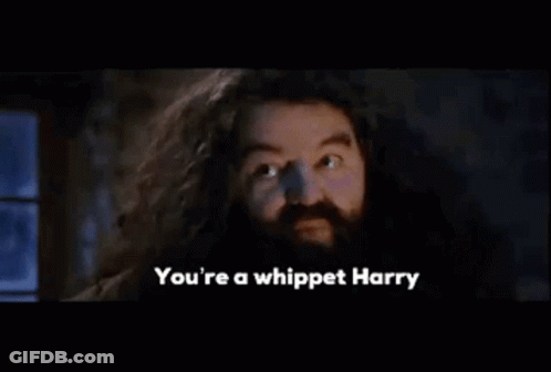 A Man With A Beard And Long Hair Is Saying You 'Re A Whippet Harry . GIF