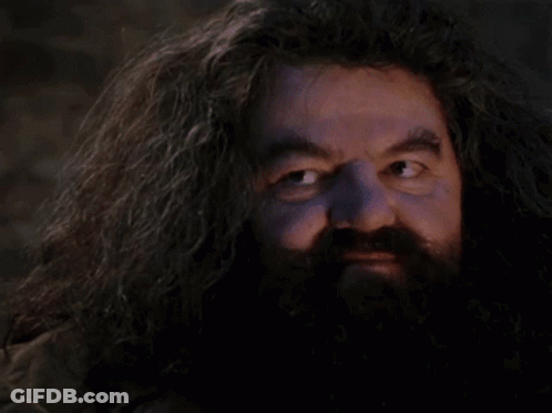 A Man With A Beard And Long Hair Looks Surprised GIF