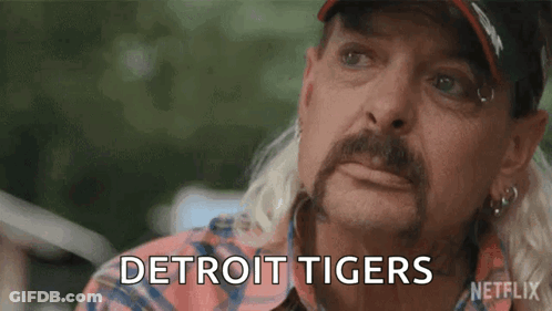 A Man With A Beard And Mustache Is Wearing A Plaid Shirt And Hat And Says Detroit Tigers . GIF
