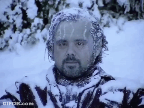 A Man With A Beard Is Covered In Snow . GIF
