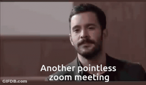 A Man With A Beard Is Having A Zoom Meeting With Another Pointless Zoom Meeting . GIF