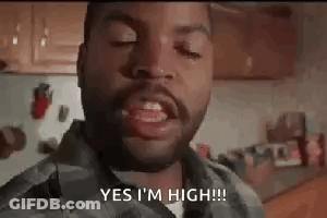 A Man With A Beard Is Making A Funny Face And Saying `` Yes I 'M High '' In A Kitchen . GIF