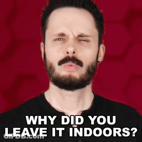 A Man With A Beard Is Making A Funny Face With The Words Why Did You Leave It Indoors GIF