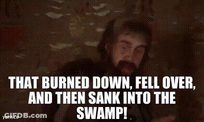 A Man With A Beard Is Saying `` That Burned Down , Fell Over , And Then Sank Into The Swamp '' GIF