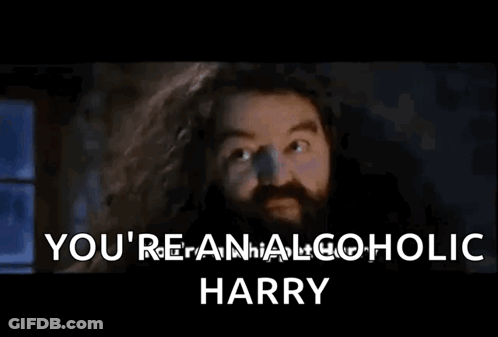 A Man With A Beard Is Saying You 'Re Alcoholic Harry GIF