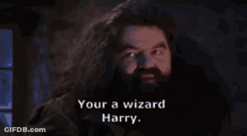 A Man With A Beard Is Saying Your A Wizard Harry . GIF