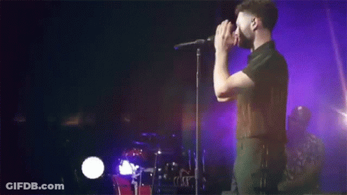 A Man With A Beard Is Singing Into A Microphone On Stage . GIF