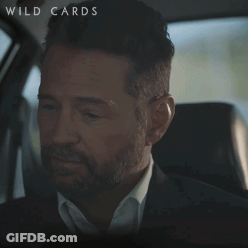 A Man With A Beard Is Sitting In A Car And Says " Whatever You Say Boss " GIF