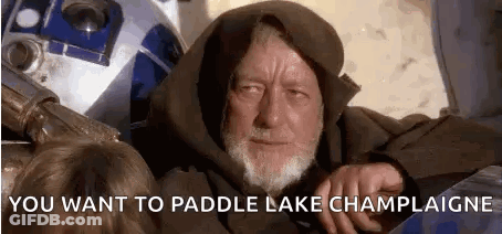 A Man With A Beard Is Sitting Next To A R2d2 Robot And Says `` You Want To Paddle Lake Champlaine '' GIF