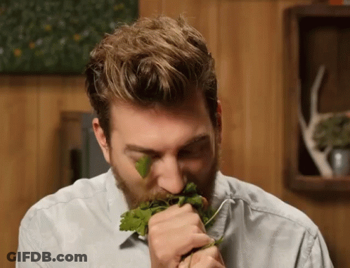 A Man With A Beard Is Smelling A Sprig Of Cilantro GIF
