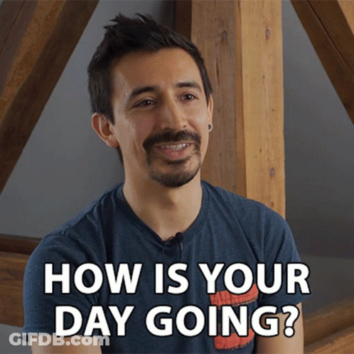 A Man With A Beard Is Smiling And Asking " How Is Your Day Going " GIF