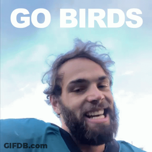A Man With A Beard Is Smiling In Front Of A Sign That Says " Go Birds " GIF