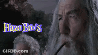 A Man With A Beard Is Smoking A Cigarette In Front Of A Haze Bro 'S Sign GIF