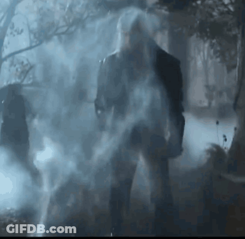 A Man With A Beard Is Standing In A Foggy Forest . GIF