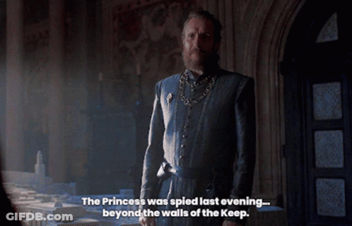 A Man With A Beard Is Standing In A Room And Says The Princess Was Sped Last Evening Beyond The Walls GIF