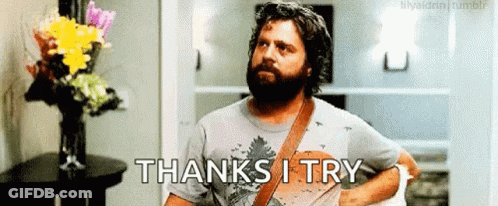 A Man With A Beard Is Standing In Front Of A Vase Of Flowers And Says `` Thanks I Try '' GIF