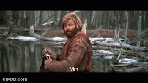 A Man With A Beard Is Standing Next To A River And The Word Vim Is On The Bottom Right GIF