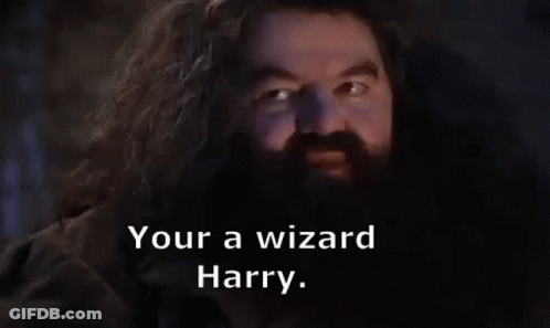 A Man With A Beard Is Talking To Harry Potter And Says `` Your A Wizard Harry '' . GIF