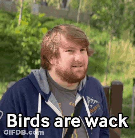 A Man With A Beard Is Wearing A Blue Hoodie That Says " Birds Are Wack " GIF