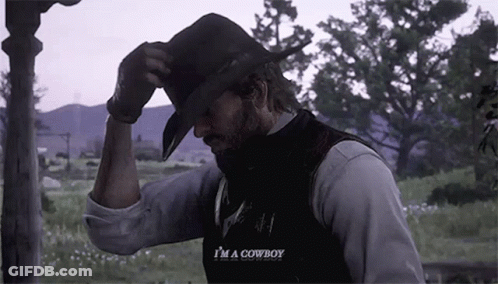 A Man With A Beard Is Wearing A Cowboy Hat And A Vest . GIF