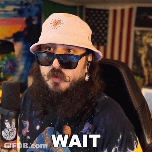 A Man With A Beard Is Wearing A Hat And Sunglasses And Says Wait GIF