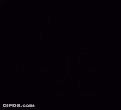 A Man With A Beard Is Wearing A Leather Jacket GIF