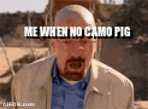 A Man With A Beard Is Wearing Glasses And A Jacket And Says `` Me When No Camo Pig '' GIF