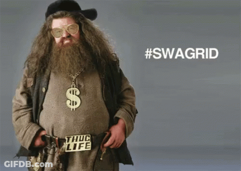 A Man With A Beard Is Wearing Sunglasses And A Dollar Sign Necklace GIF