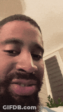 A Man With A Beard Looks At The Camera GIF