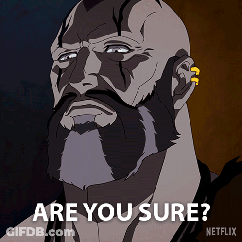 A Man With A Beard Says Are You Sure GIF