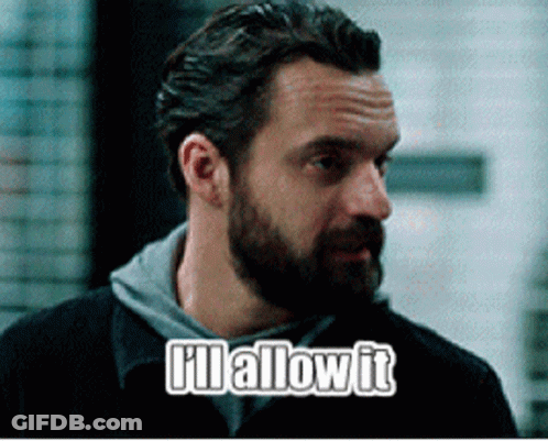 A Man With A Beard Says " I 'Ll Allow It " In Front Of Him GIF