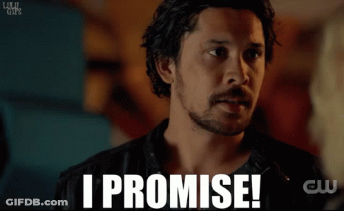 A Man With A Beard Says I Promise On A Screen GIF