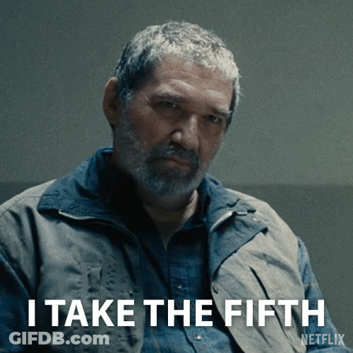 A Man With A Beard Says " I Take The Fifth " In A Netflix Ad GIF