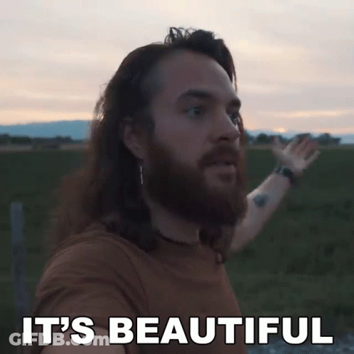 A Man With A Beard Says It 'S Beautiful In Front Of A Field GIF