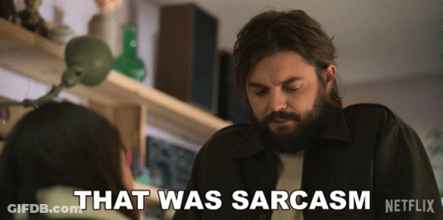 A Man With A Beard Says That Was Sarcasm Netflix GIF