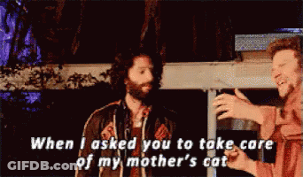 A Man With A Beard Says When I Asked You To Take Care Of My Mother 'S Cat .. GIF