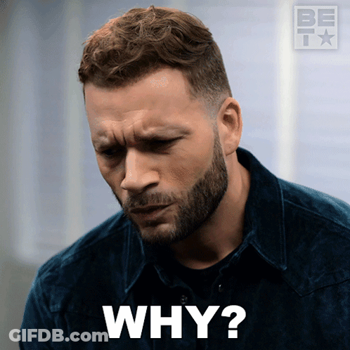 A Man With A Beard Says Why GIF