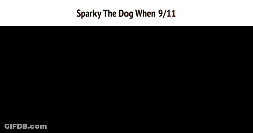 A Man With A Beard Stands In Front Of A Red Background With The Words Sparky The Dog When 9/11 GIF