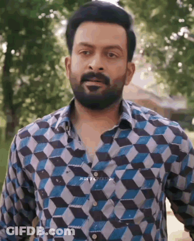 A Man With A Beard Wearing A Blue And White Checkered Shirt GIF