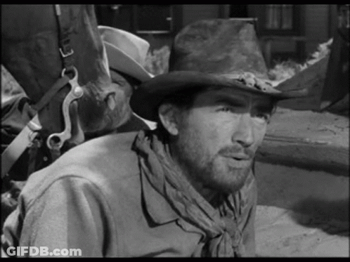 A Man With A Beard Wearing A Cowboy Hat And Scarf . GIF