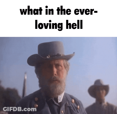 A Man With A Beard Wearing A Cowboy Hat With The Words What In The Ever Loving Hell GIF